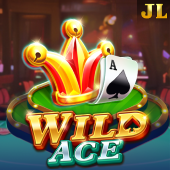 Wild Ace Pair Play slot